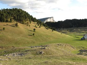 IMG_8466.JPG