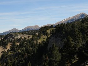IMG_8480.JPG
