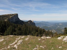 IMG_8489.JPG