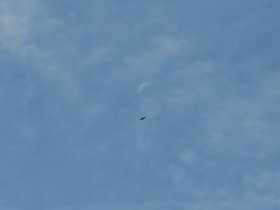 IMG_8493.JPG