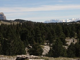 IMG_8494.JPG