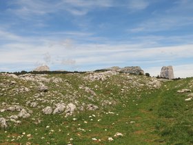 IMG_8499.JPG