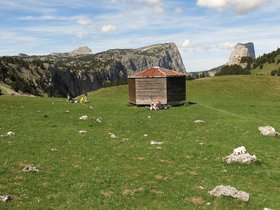 IMG_8513.JPG