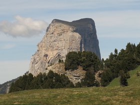 IMG_8515.JPG