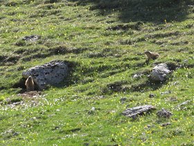 IMG_8521.JPG