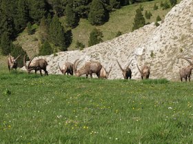 IMG_8549.JPG