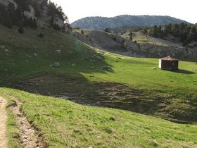IMG_8553.JPG