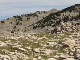 IMG_8575.JPG
