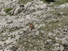 IMG_8583.JPG