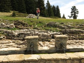 IMG_8589.JPG