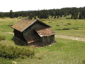 IMG_8590.JPG
