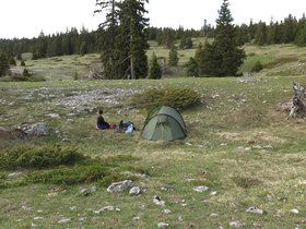 IMG_8598.JPG
