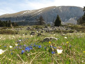 IMG_8620.JPG