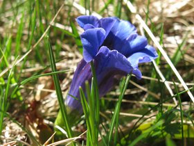 IMG_8625.JPG