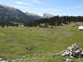 IMG_8662.JPG