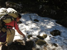 IMG_8665.JPG