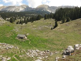 IMG_8679.JPG
