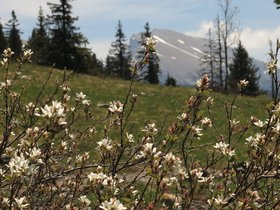 IMG_8685.JPG