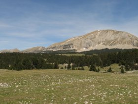 IMG_8730.JPG