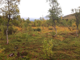 j20170911_101945.jpg