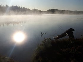 20190906_080457.jpg