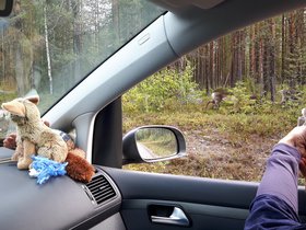 20190908_111741.jpg