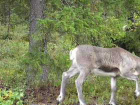 IMG_0564.JPG