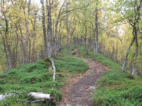 IMG_0663.JPG