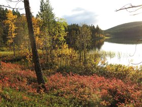 IMG_0687.JPG