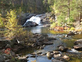 IMG_0743.JPG
