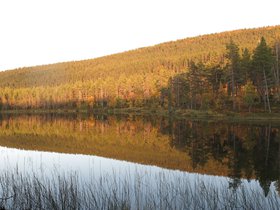 IMG_0752.JPG