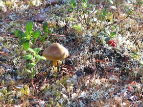 IMG_0768.JPG