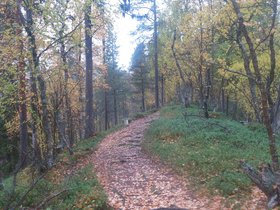 IMG_0824.JPG