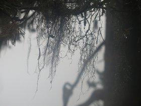 IMG_0827.JPG