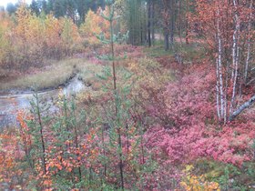 IMG_0838.JPG