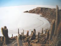 Salar de Uyuni, Isla Pescada